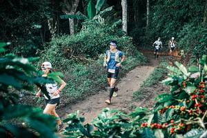 BIB: 
                            <button type="button" onclick="openModal(25801311)" class="btn btn-primary btn-sm float-right btn-popup" data-toggle="modal" data-target=".modal-high-quality">
                        <i class="fas fa-shopping-cart"></i> Add to Cart
                    </button>
                                            <button type="button" onclick="isThisMe(25801311, true)" class="btn btn-success btn-sm float-right btn-popup btn-isme hidden" data-toggle="tooltip" data-placement="bottom" title="นี่คือรูปของคุณใช่ไหม คลิกที่นี่เพื่อเอาเข้าอัลบั้ม">
                        <i class="fas fa-plus"></i> Add to album
                    </button>
                    <button type="button" onclick="isThisMe(25801311, false)" class="btn btn-warning btn-sm float-right btn-popup btn-isnotme hidden">
                        <i class="fas fa-ban"></i> Remove from album
                    </button>